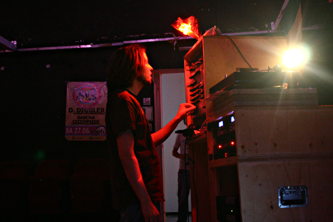 sunweed
